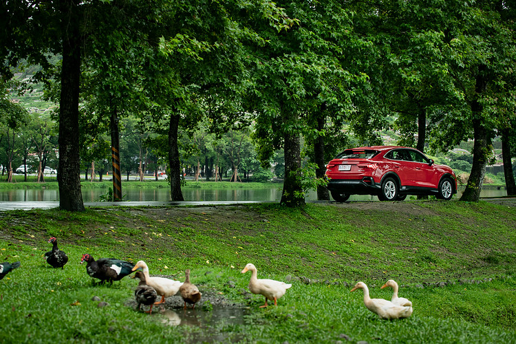 在舒適性、隔音、抑震等NVH工程的表現,也都有著豪華車應有的高品質。