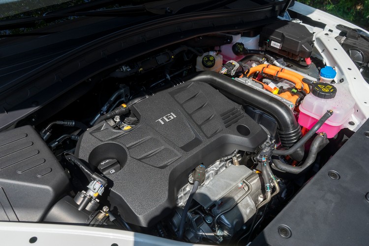 291hp系統綜效最大馬力與49kgm綜效最大扭力在同價位中是甩開對手的性能表現