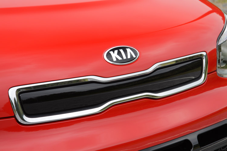 Tiger Nose虎式家族識別水箱護罩,內部特別加上黑色烤漆飾板。