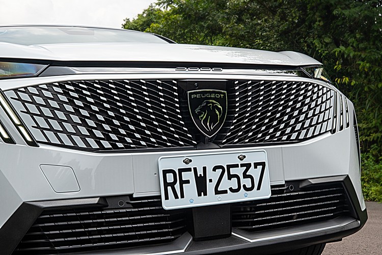 以獅王鬃毛為意象的水箱罩真的很不傳統,很有電動車的設計Style