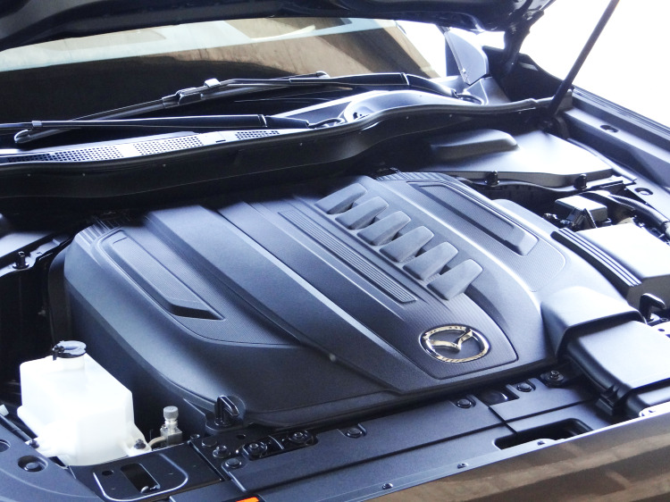 3.3升六缸車型必須背負較為沈重的稅賦,不過甜潤聲浪及強大動力則是無可取代。